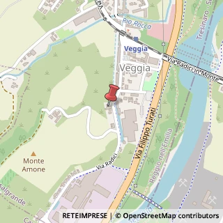 Mappa Via Radici, 36, 42013 Casalgrande, Reggio nell'Emilia (Emilia Romagna)