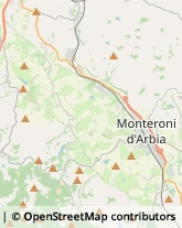 Aziende Agricole Monteroni d'Arbia,53014Siena