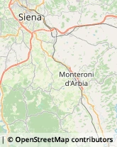 Aziende Agricole Monteroni d'Arbia,53014Siena