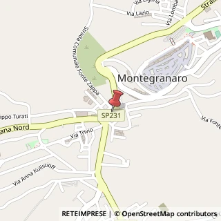 Mappa Via Elpidiense Nord, 182, 63812 Montegranaro FM, Italia, 63812 Montegranaro, Fermo (Marche)