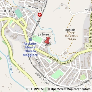 Mappa Via Sant'Agata, 43, 53041 Asciano SI, Italia, 53041 Asciano, Siena (Toscana)