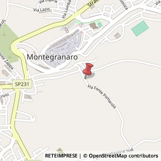Mappa Via Papa Giovanni XXIII,  47, 63014 Montegranaro, Fermo (Marche)