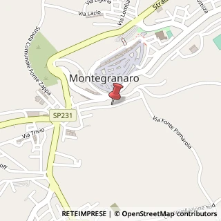 Mappa Via dante alighieri 26, 63014 Montegranaro, Fermo (Marche)