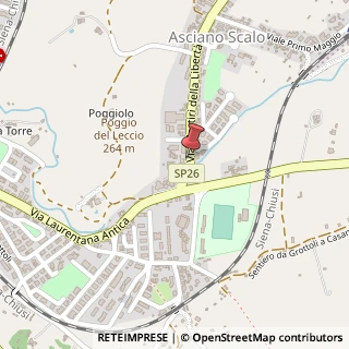 Mappa Via Martiri della Libertà, 3, 53041 Asciano, Siena (Toscana)