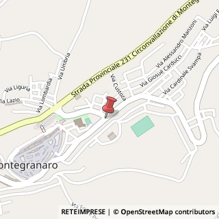 Mappa Viale Zaccagnini, 58, 63812 Montegranaro FM, Italia, 63812 Montegranaro, Fermo (Marche)