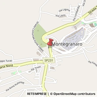Mappa Via Elpidiense Nord, 154, 63014 Montegranaro, Fermo (Marche)