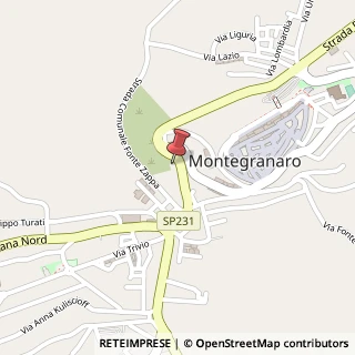 Mappa Via Elpidiense Nord, 150, 63812 Montegranaro, Fermo (Marche)