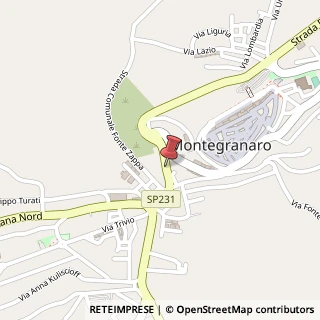 Mappa Via Elpidiense Nord, 154, 63812 Montegranaro, Fermo (Marche)