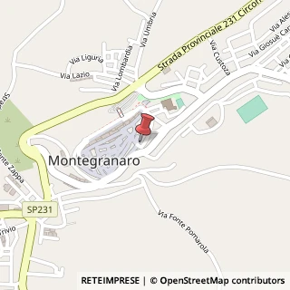 Mappa Via Castelfidardo, 83, 63812 Montegranaro, Fermo (Marche)