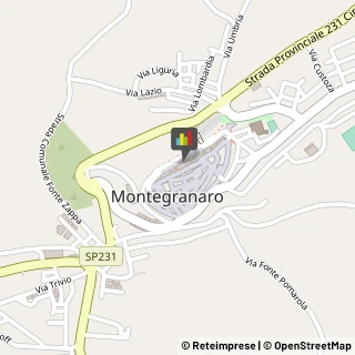 Orologerie Montegranaro,63812Fermo