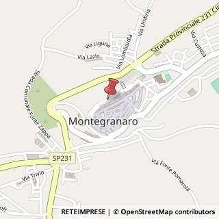 Mappa Viale Antonio Gramsci, 67-69-71, 63014 Montegranaro, Fermo (Marche)