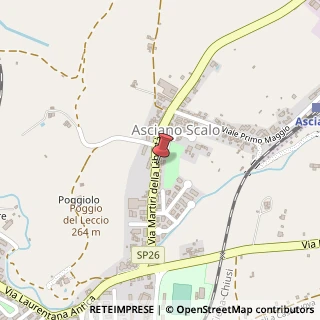 Mappa Via Martiri della Libertà, 20A, 53041 Asciano, Siena (Toscana)