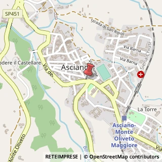 Mappa Piazza Regina Elena, 1, 53041 Asciano, Siena (Toscana)