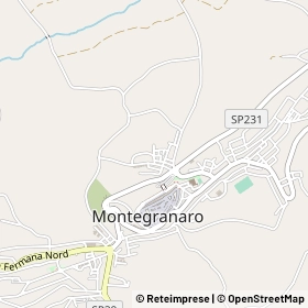 Mappa 63014