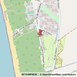 Mappa Via dei Cavalleggeri Sud, 26, 57020 Bibbona, Livorno (Toscana)