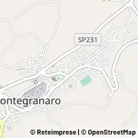 Map Montegranaro