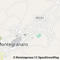 Map Montegranaro