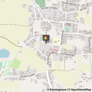 Logopedia Capannori,55012Lucca