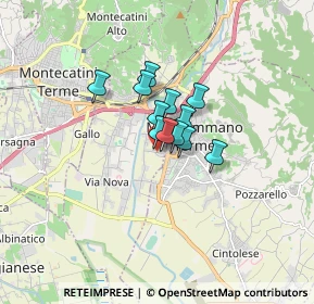 Mappa Via Po, 51018 Pieve A Nievole PT, Italia (0.86833)