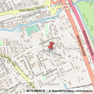 Mappa Via paladini e. 1/b, 55049 Viareggio, Lucca (Toscana)