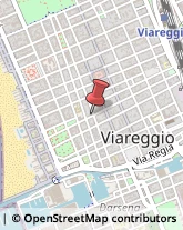 Via Machiavelli, 18,55049Viareggio