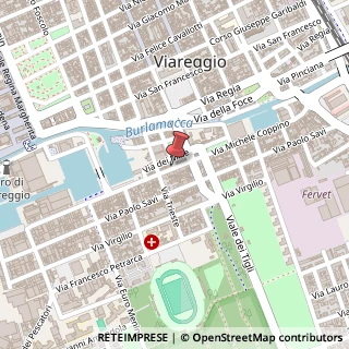 Mappa Via Michele Coppino,  76, 55049 Viareggio, Lucca (Toscana)
