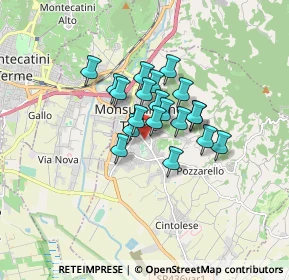 Mappa Via della Repubblica, 51015 Monsummano Terme PT, Italia (1.1095)