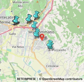 Mappa 51015 Monsummano Terme PT, Italia (1.965)
