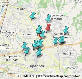 Mappa Via dei Selmi, 55013 Capannori LU, Italia (1.428)