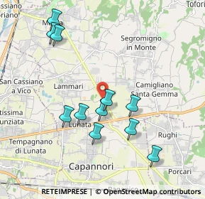 Mappa Via dei Selmi, 55013 Capannori LU, Italia (1.99273)