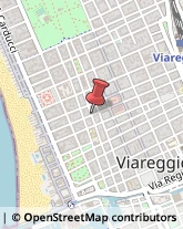 Via Giuseppe Verdi, 88,55049Viareggio