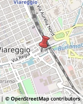 Via Pinciana, 17,55049Viareggio