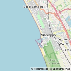 Mappa Viareggio