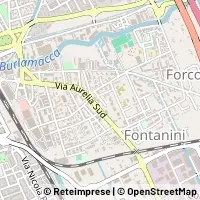 Map Viareggio