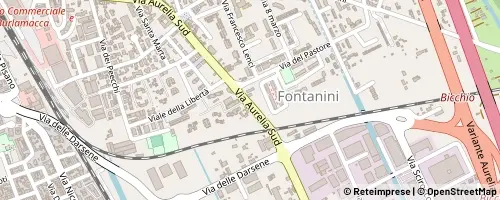 Mappa Viareggio