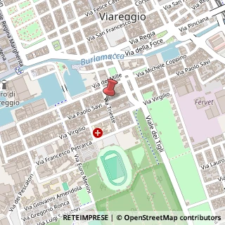 Mappa Via savi paolo 174, 55049 Viareggio, Lucca (Toscana)