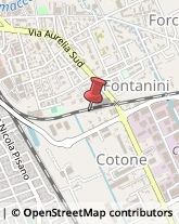 Via delle Darsene, 25,55100Viareggio