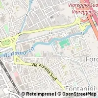 Carte Viareggio