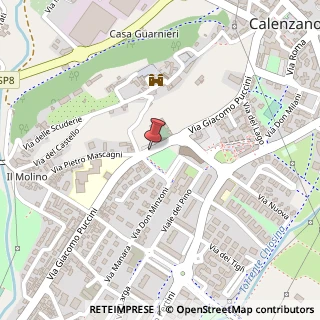 Mappa Via Giacomo Puccini, 50041 Calenzano FI, Italia, 50041 Calenzano, Firenze (Toscana)