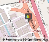 Cantieri Navali,55049Lucca