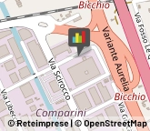 Cantieri Navali,55049Lucca