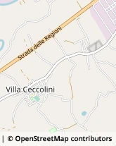 Str. dei Cacciatori, 1,61122Pesaro