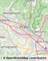 Trasporto Pubblico Montemurlo,59013Prato