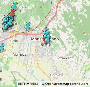 Mappa Via Trieste, 51015 Monsummano Terme PT, Italia (2.941)