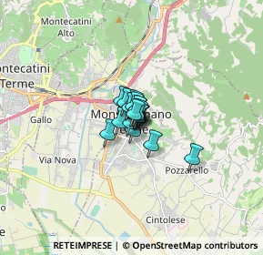 Mappa Via Trieste, 51015 Monsummano Terme PT, Italia (0.45111)