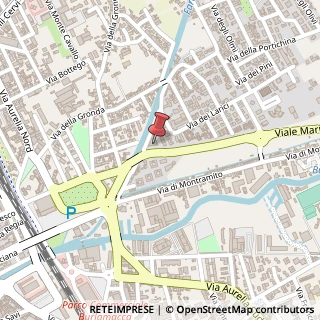 Mappa Viale Mario Tobino, 32, 55049 Viareggio, Lucca (Toscana)