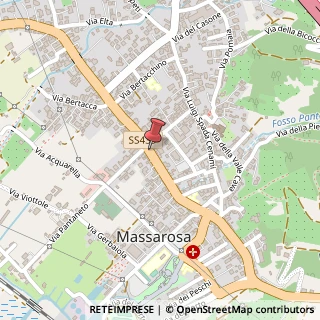 Mappa Via Carlo Pellegrini, 301, 55054 Massarosa, Lucca (Toscana)