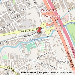 Mappa Via di Montramito, 104, 55049 Viareggio, Lucca (Toscana)