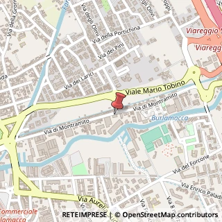 Mappa Via di Montramito, 78, 55049 Viareggio, Lucca (Toscana)