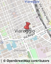 Via S. Francesco, 80,55049Viareggio